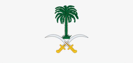 沙特国徽上挂着椰枣树