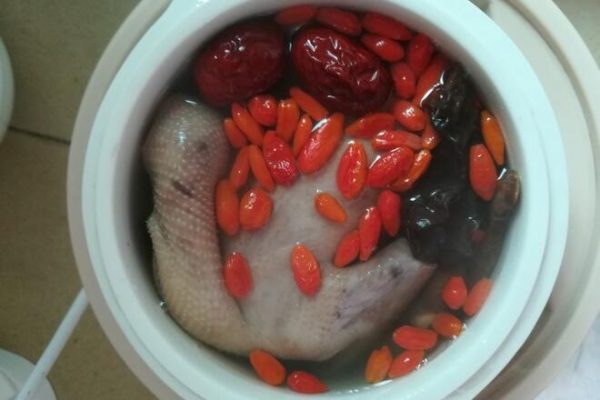 红枣枸杞炖乳鸽汤的做法