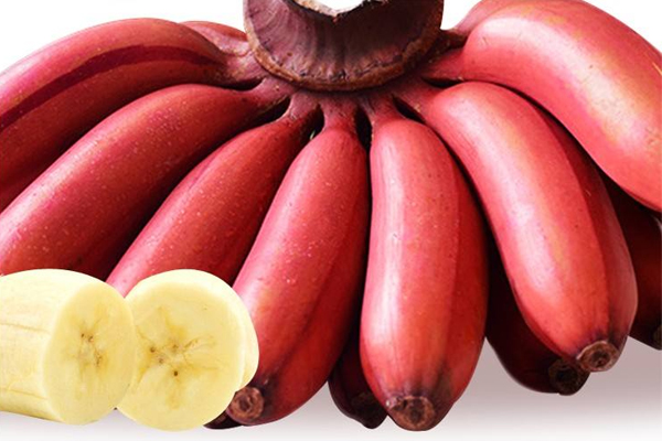 红皮香蕉图片
