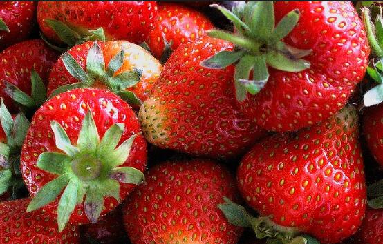 草莓什么季节吃最好